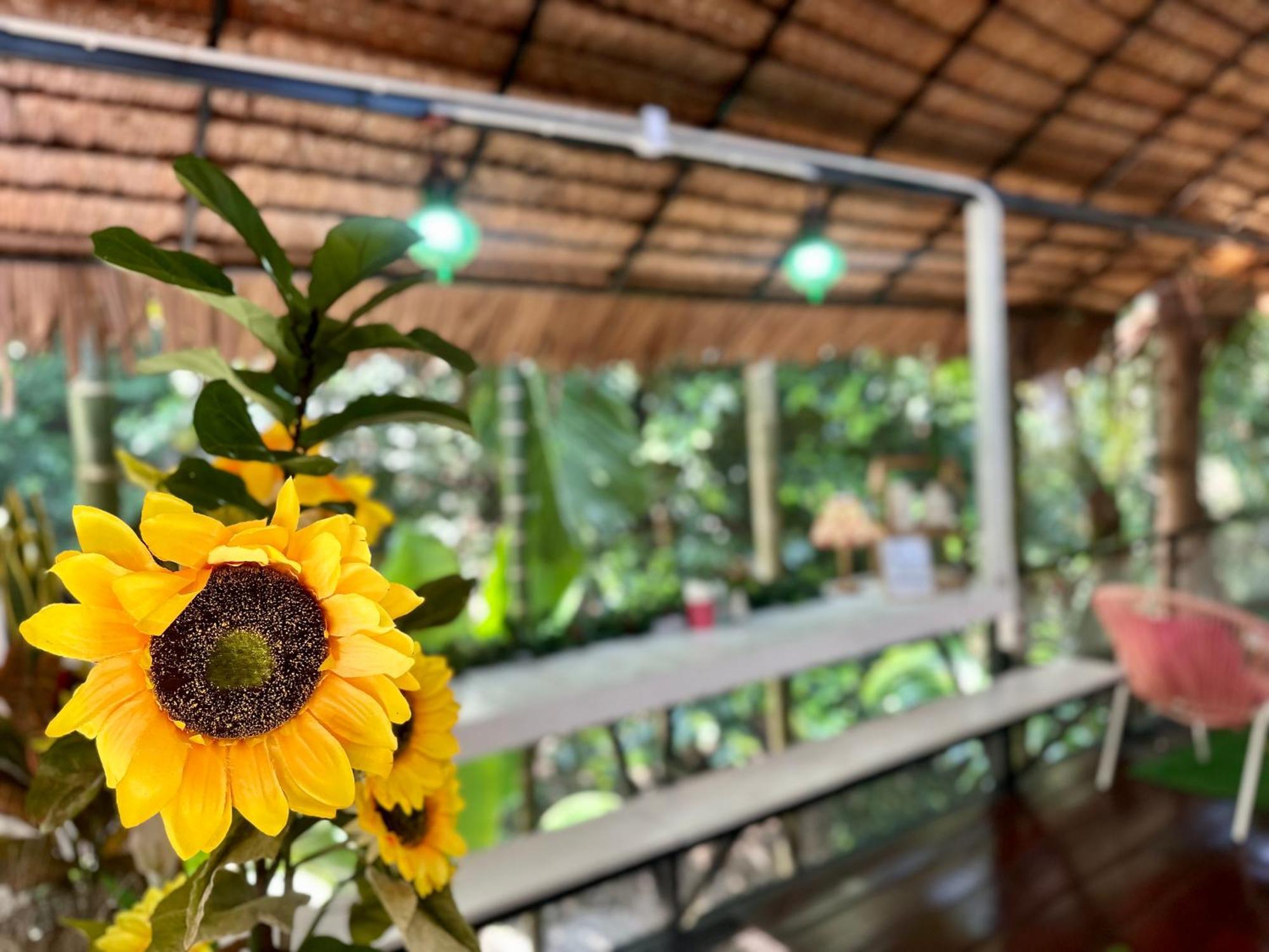 Nua Tone Resort Bang Tao & Cafe מראה חיצוני תמונה